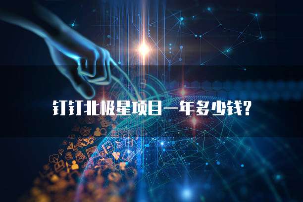钉钉北极星项目一年多少钱?