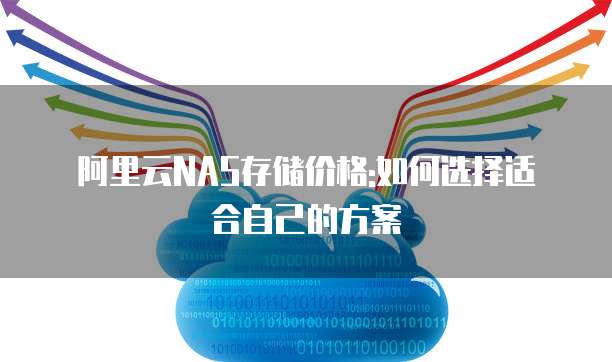 阿里云NAS存储价格:如何选择适合自己的方案