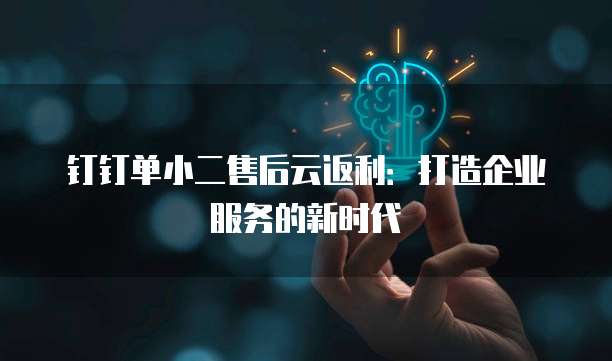 钉钉单小二售后云返利：打造企业服务的新时代