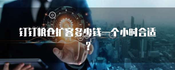 钉钉粮仓扩容多少钱一个小时合适?