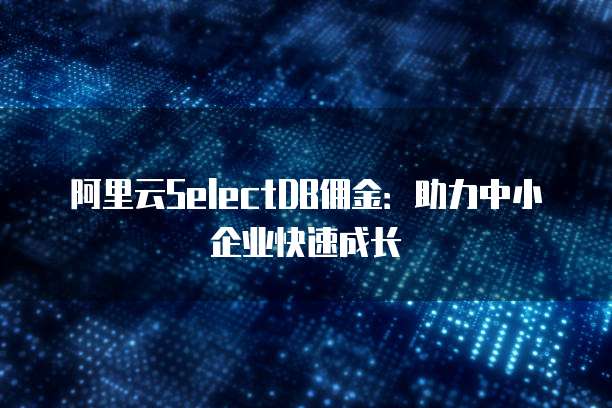 阿里云SelectDB佣金:助力中小企业快速成长