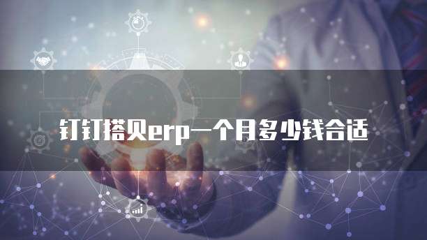 钉钉搭贝erp一个月多少钱合适