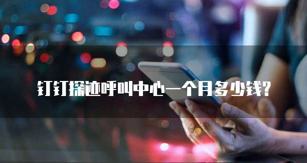 钉钉探迹呼叫中心一个月多少钱?