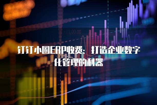 钉钉小圈ERP收费:打造企业数字化管理的利器