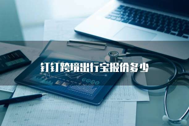 钉钉跨境出行宝报价多少