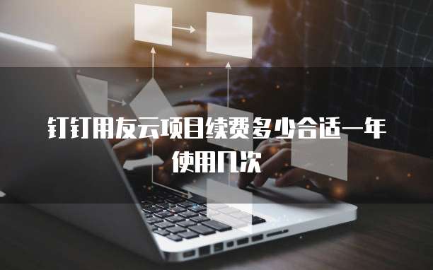 钉钉用友云项目续费多少合适一年使用几次