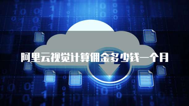 阿里云视觉计算佣金多少钱一个月