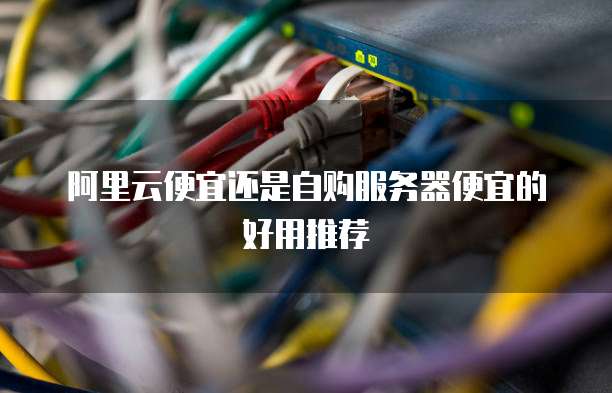 阿里云便宜还是自购服务器便宜的好用推荐