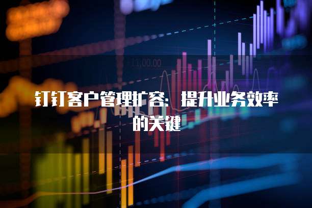 钉钉客户管理扩容:提升业务效率的关键