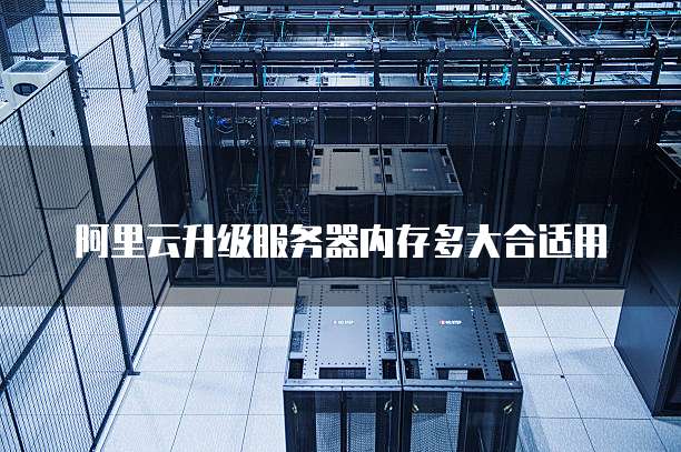 阿里云升级服务器内存多大合适用