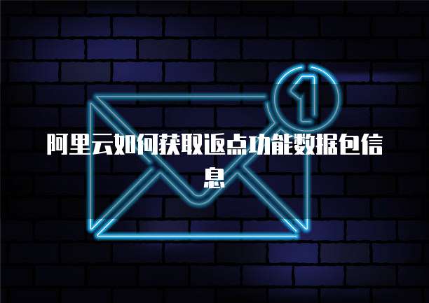 阿里云如何获取返点功能数据包信息