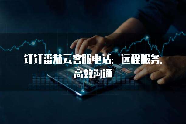 钉钉番茄云客服电话:远程服务,高效沟通
