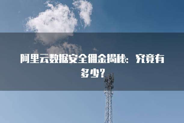 阿里云数据安全佣金揭秘:究竟有多少?