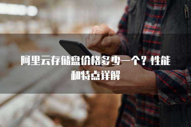 阿里云存储盘价格多少一个?性能和特点详解