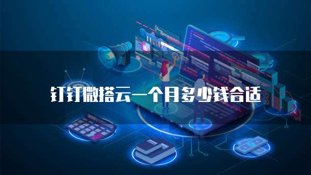 钉钉微搭云一个月多少钱合适