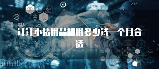 钉钉小猪用品租用多少钱一个月合适