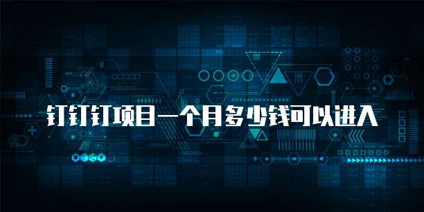 钉钉钉项目一个月多少钱可以进入