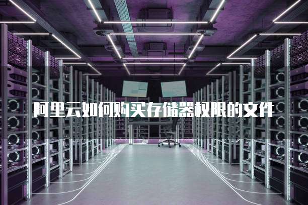 阿里云如何购买存储器权限的文件