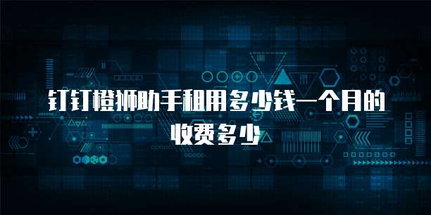 钉钉橙狮助手租用多少钱一个月的收费多少