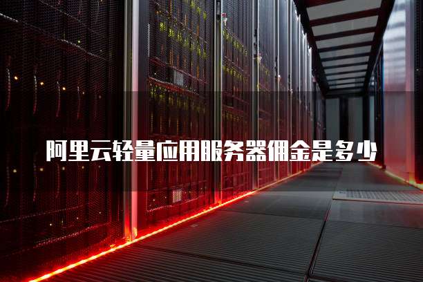 阿里云轻量应用服务器佣金是多少