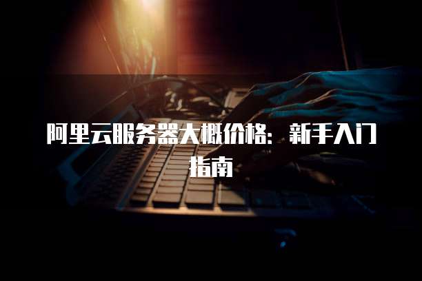 阿里云服务器大概价格：新手入门指南