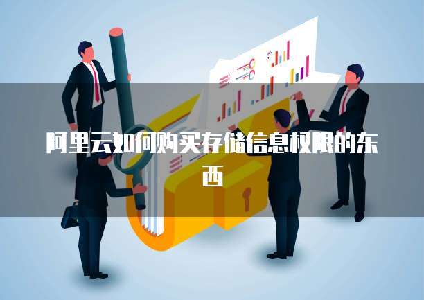 阿里云如何购买存储信息权限的东西