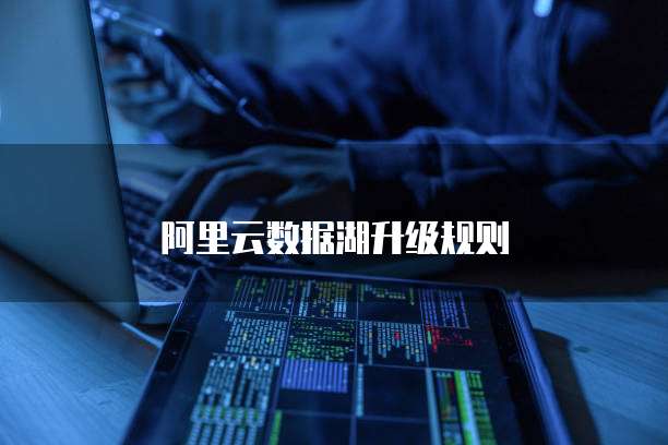 阿里云数据湖升级规则