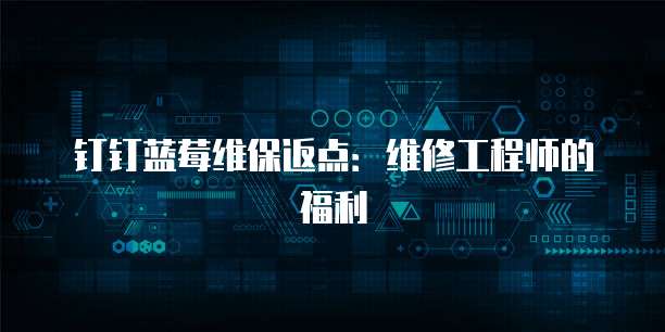 钉钉蓝莓维保返点:维修工程师的福利