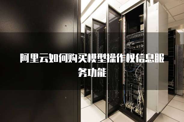 阿里云如何购买模型操作权信息服务功能