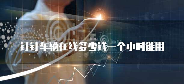 钉钉车辆在线多少钱一个小时能用
