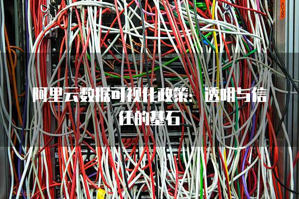 阿里云数据可视化政策:透明与信任的基石