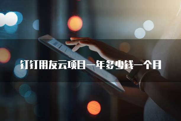 钉钉用友云项目一年多少钱一个月