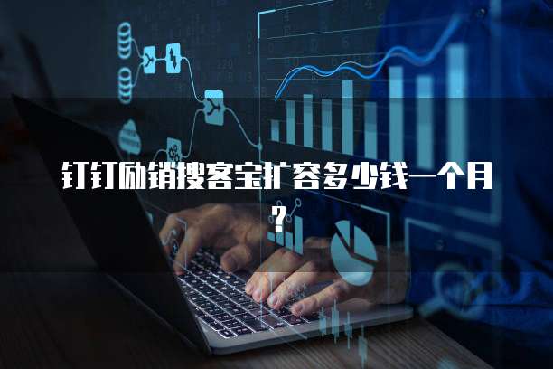 钉钉励销搜客宝扩容多少钱一个月？