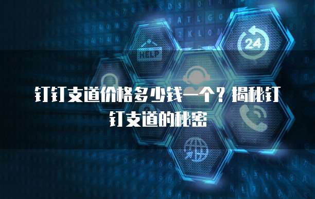 钉钉支道价格多少钱一个？揭秘钉钉支道的秘密