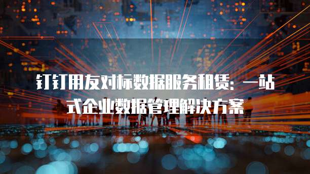 钉钉用友对标数据服务租赁: 一站式企业数据管理解决方案