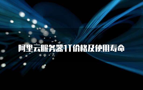 阿里云服务器1T价格及使用寿命