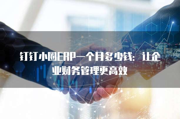 钉钉小圈ERP一个月多少钱:让企业财务管理更高效