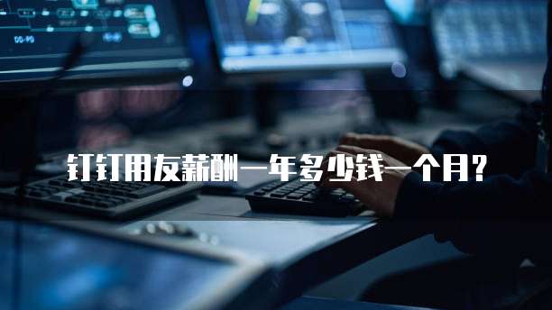 钉钉用友薪酬一年多少钱一个月？