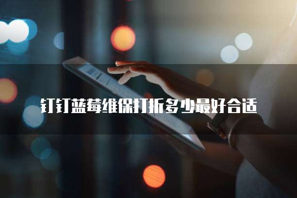 钉钉蓝莓维保打折多少最好合适