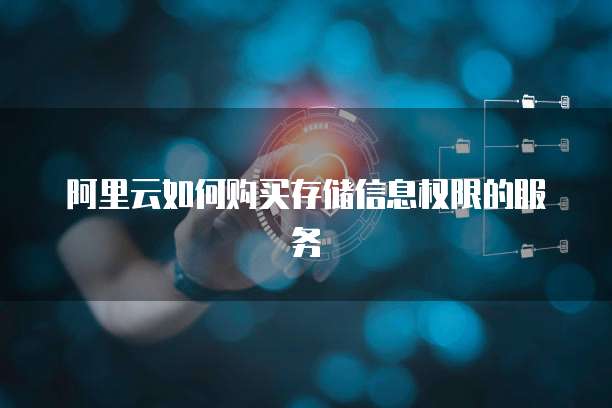 阿里云如何购买存储信息权限的服务