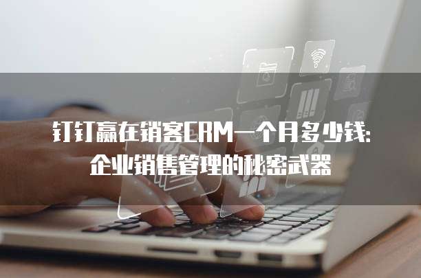 钉钉赢在销客CRM一个月多少钱:企业销售管理的秘密武器