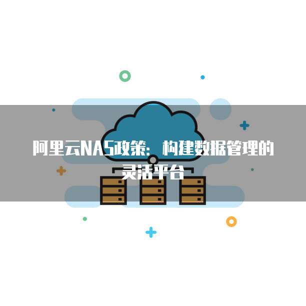 阿里云NAS政策：构建数据管理的灵活平台