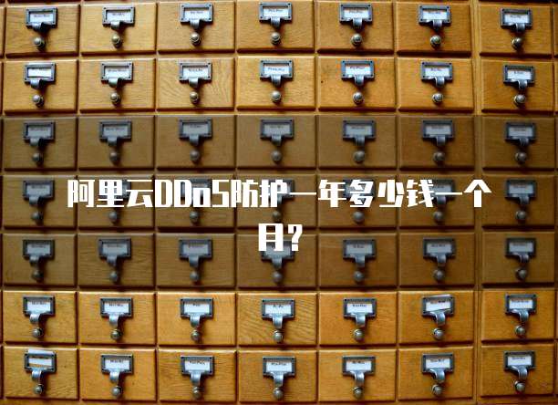 阿里云DDoS防护一年多少钱一个月?