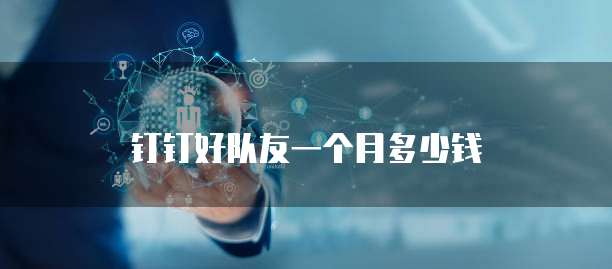 钉钉好队友一个月多少钱