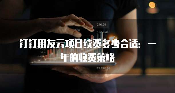 钉钉用友云项目续费多少合适：一年的收费策略