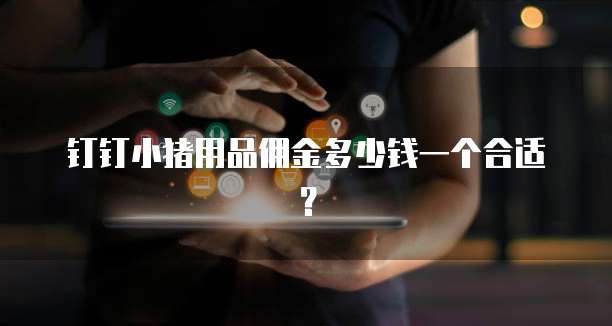 钉钉小猪用品佣金多少钱一个合适?