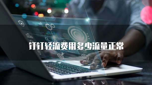 钉钉轻流费用多少流量正常