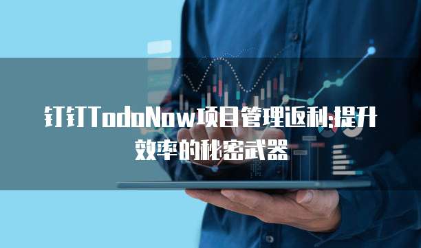 钉钉TodoNow项目管理返利:提升效率的秘密武器