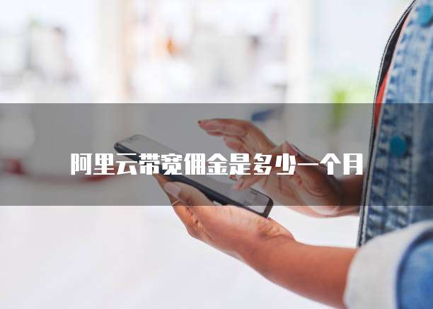 阿里云带宽佣金是多少一个月