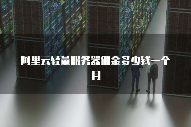 阿里云轻量服务器佣金多少钱一个月